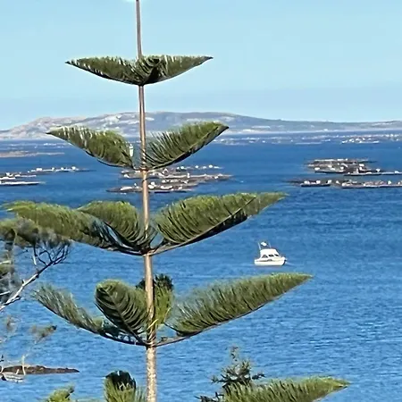 Vistas Con Terraza Vut-po-10146 *